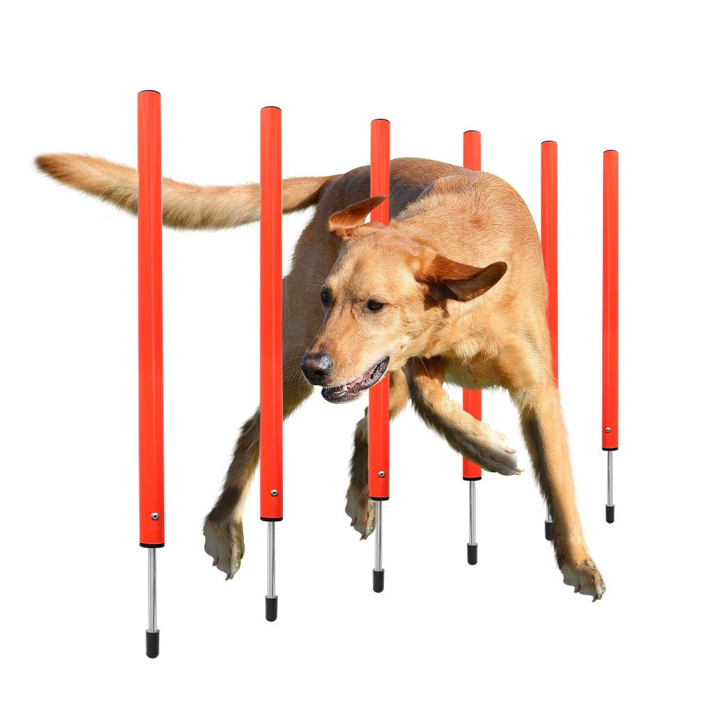 Dog handling equipment en plastique Set 1 pour chiens et chats - image 9