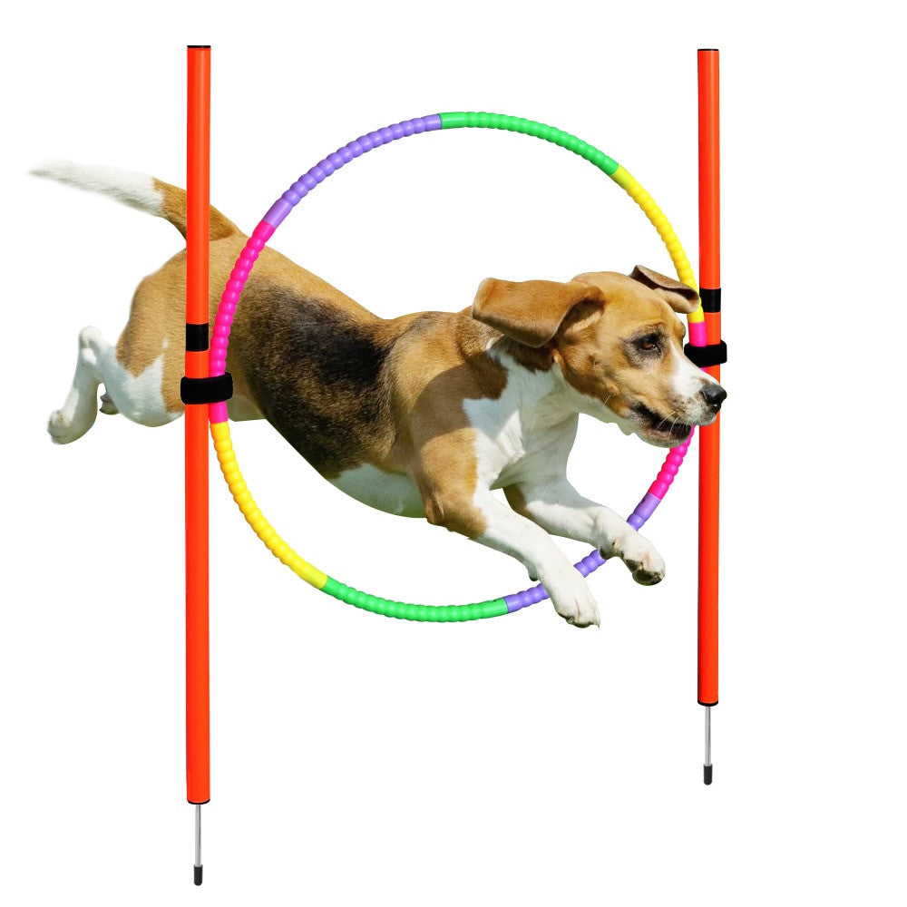 Dog handling equipment en plastique Set 1 pour chiens et chats - image 7