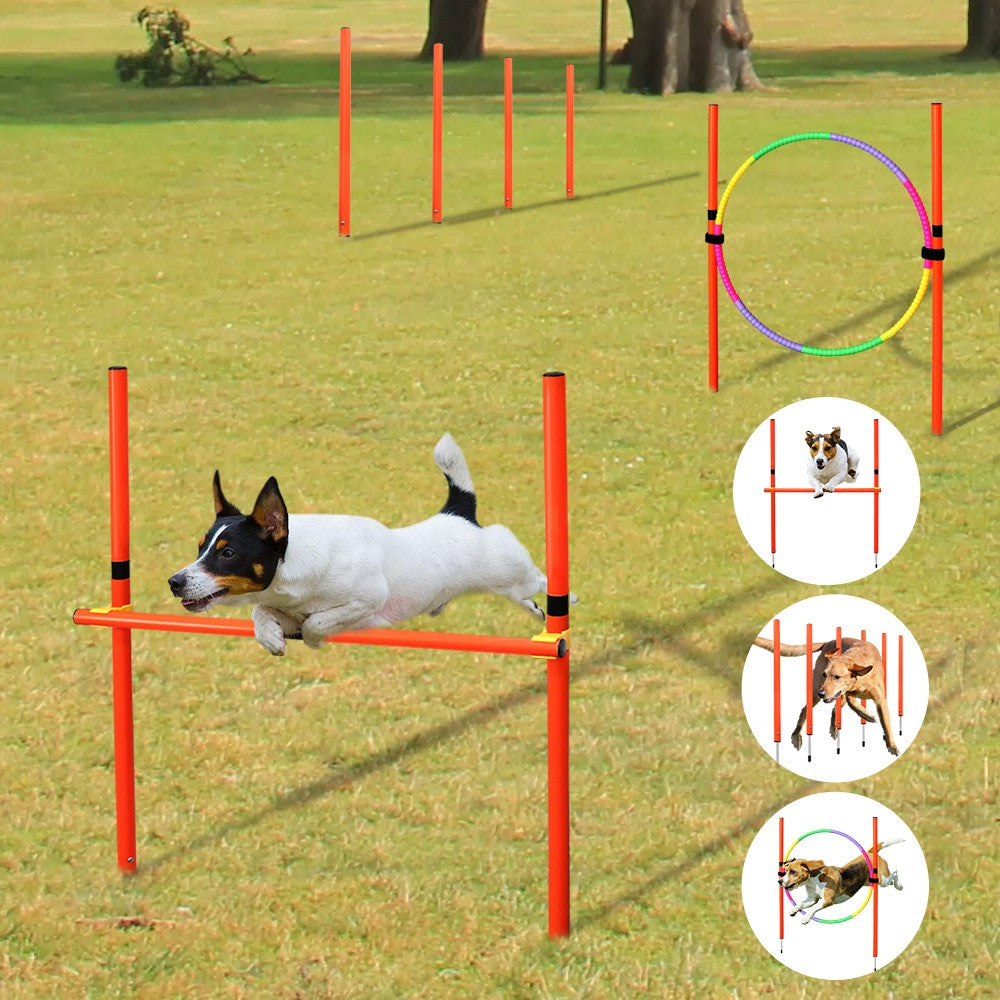 Dog handling equipment en plastique Set 1 pour chiens et chats - image 1