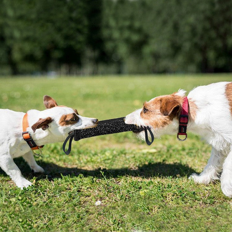 Interaktives Spielzeug de nylon negro fuer Hunde und Katzen - Bild 2