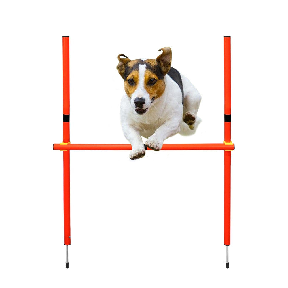 Dog handling equipment en plastique Set 1 pour chiens et chats - image 8