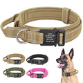 Verstellbares Halsband de nylon negro fuer Hunde und Katzen - Bild 1