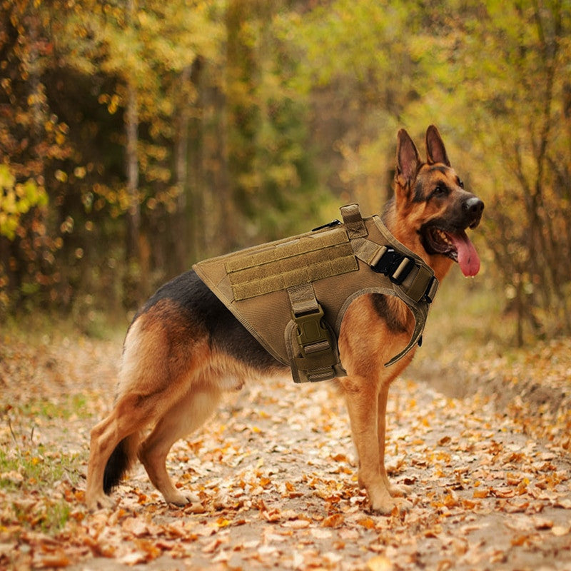 Padded harness de nylon negro for dogs and cats - image 6