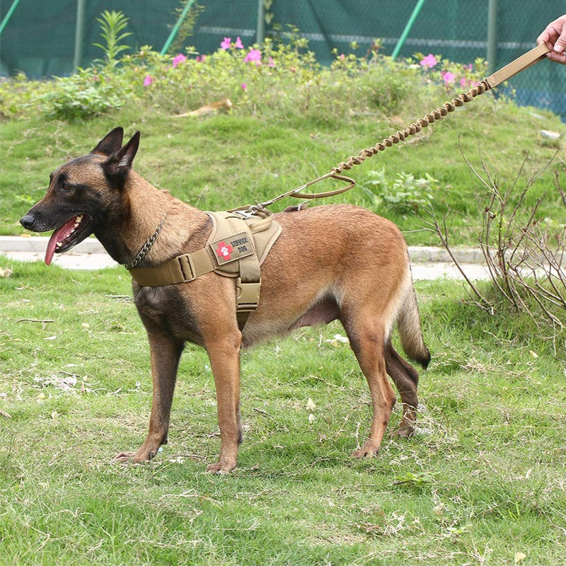 Pettorina imbottita de nylon negro per cani e gatti - immagine 1