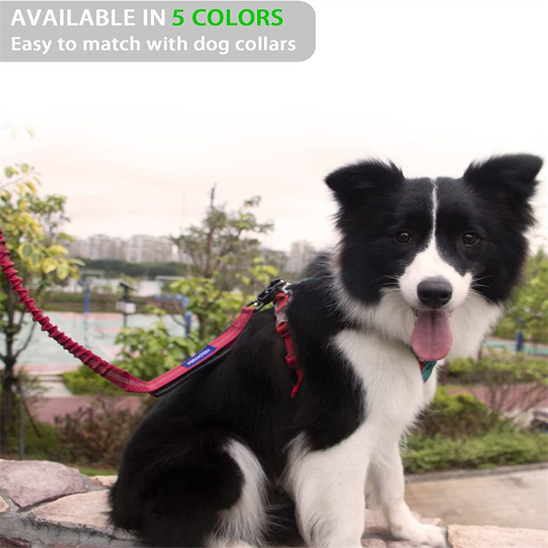 4 en 1 Zapato Absorbing Dog Leash