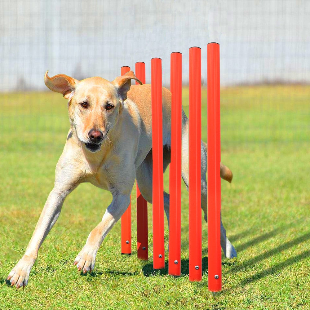 Dog handling equipment en plastique Set 1 pour chiens et chats - image 3