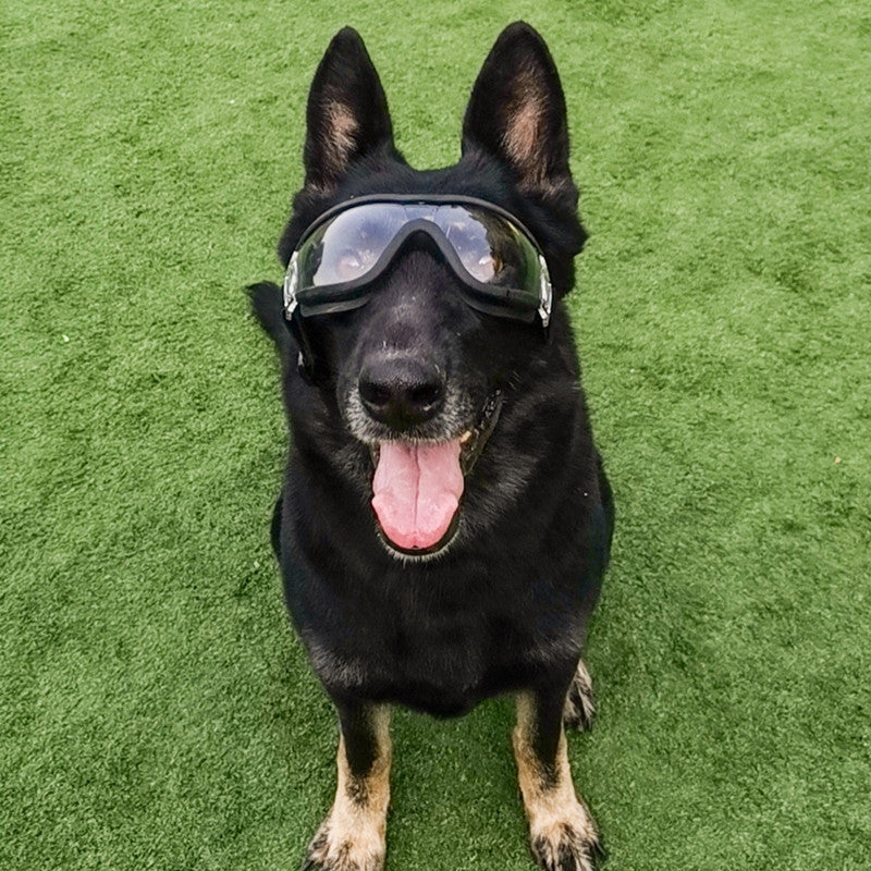 Dog handling equipment impermeable de nylon negro para perros y gatos - imagen 2