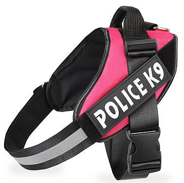 Dog leash-10