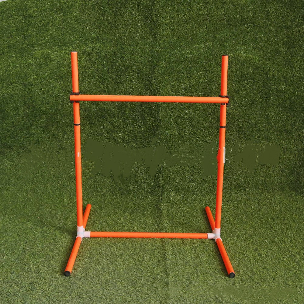 Dog handling equipment per cani e gatti - immagine 6
