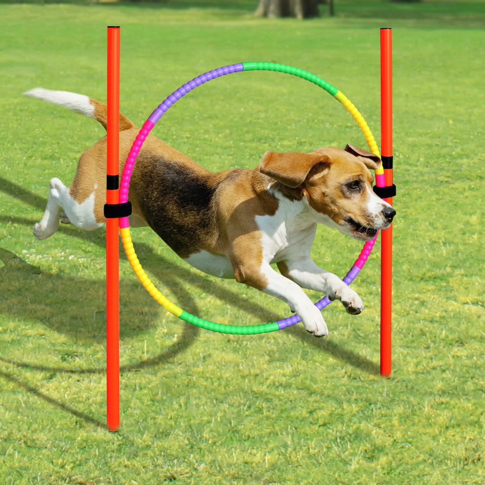 Dog handling equipment en plastique Set 1 pour chiens et chats - image 5