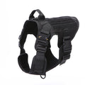 Seil-Kratzspielzeug tragbar de nylon 1Army Green fuer Hunde und Katzen - Bild 1