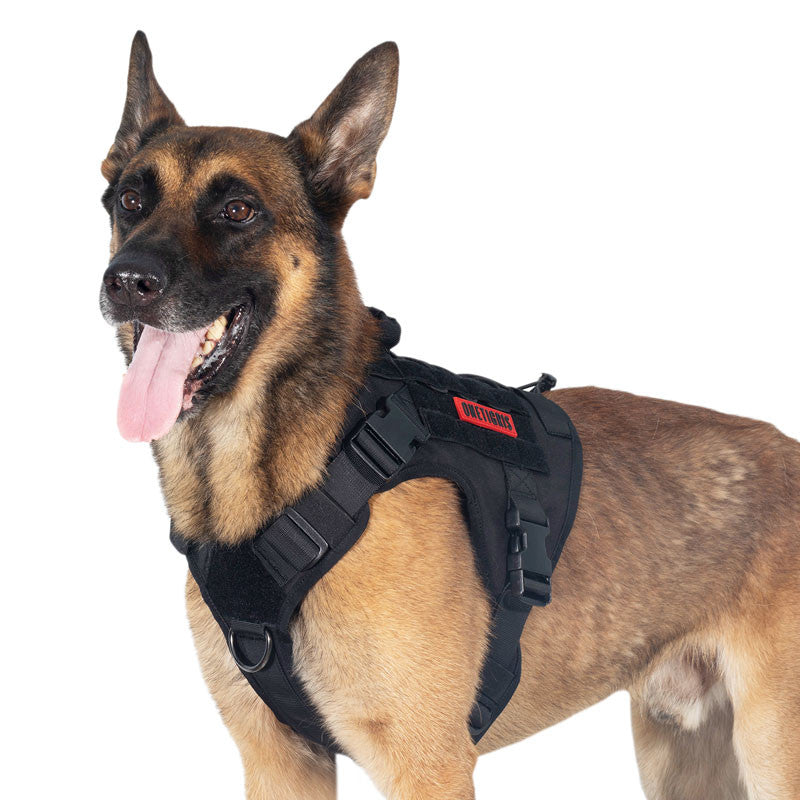 OneTigris arnes para perro Vest
