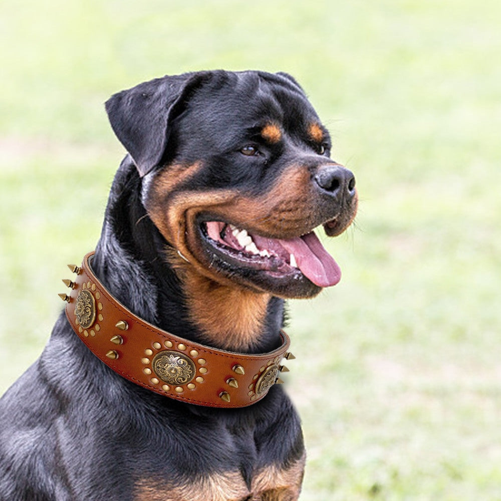 Collar de cuero para perro