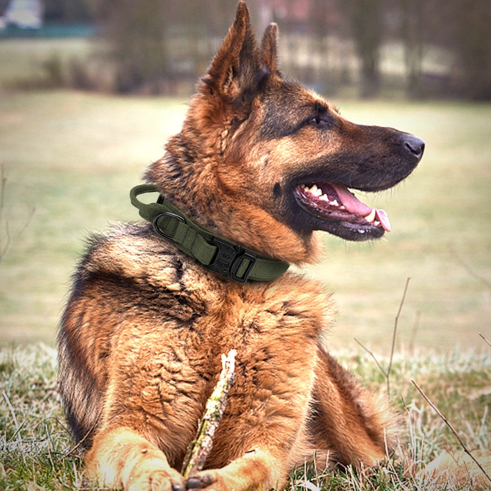 Adjustable collar de nylon negro for dogs and cats - image 4