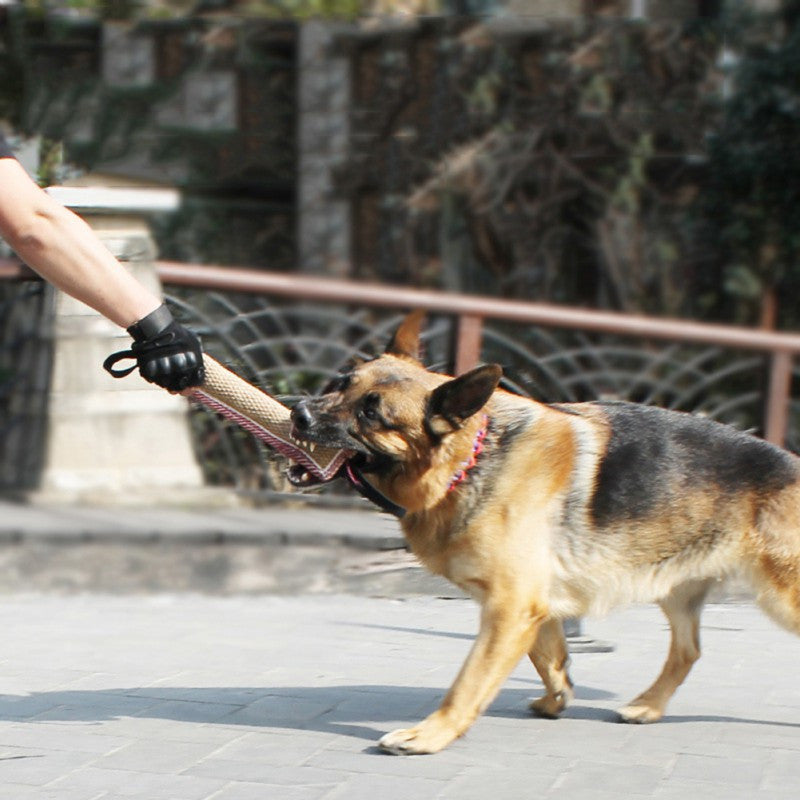 Interactive toy Beige for dogs and cats - image 3