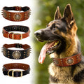 Collier en cuir pour chien