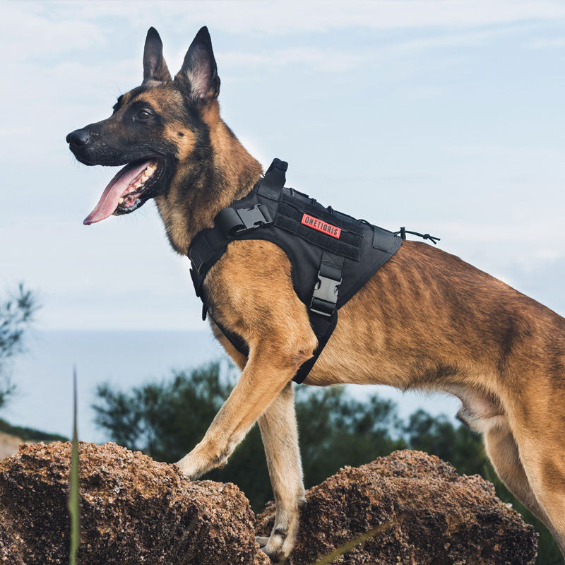 Veste d'harnais pour chien OneTigris