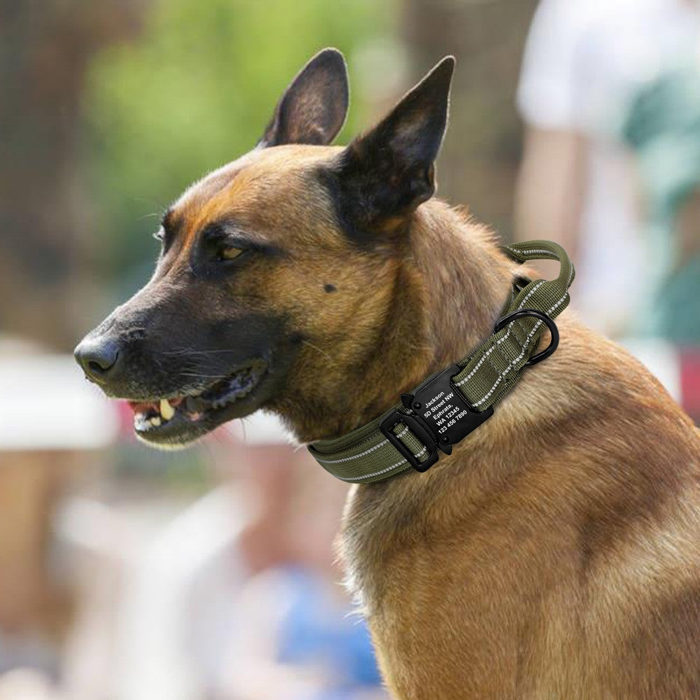 Verstellbares Halsband de nylon negro fuer Hunde und Katzen - Bild 5