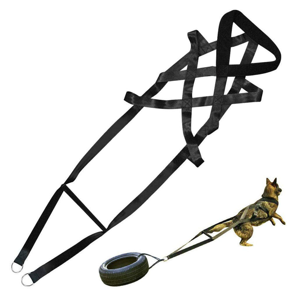 Spazierleine aus Baumwolle negro fuer Hunde und Katzen - Bild 2