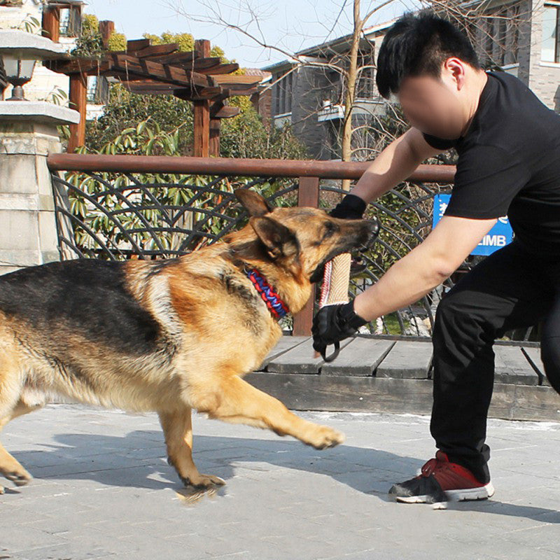 Interactive toy Beige for dogs and cats - image 1