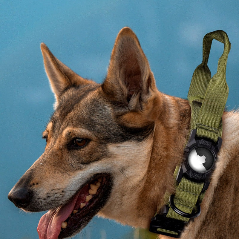 Collar ajustable de nylon negro para perros y gatos - imagen 6