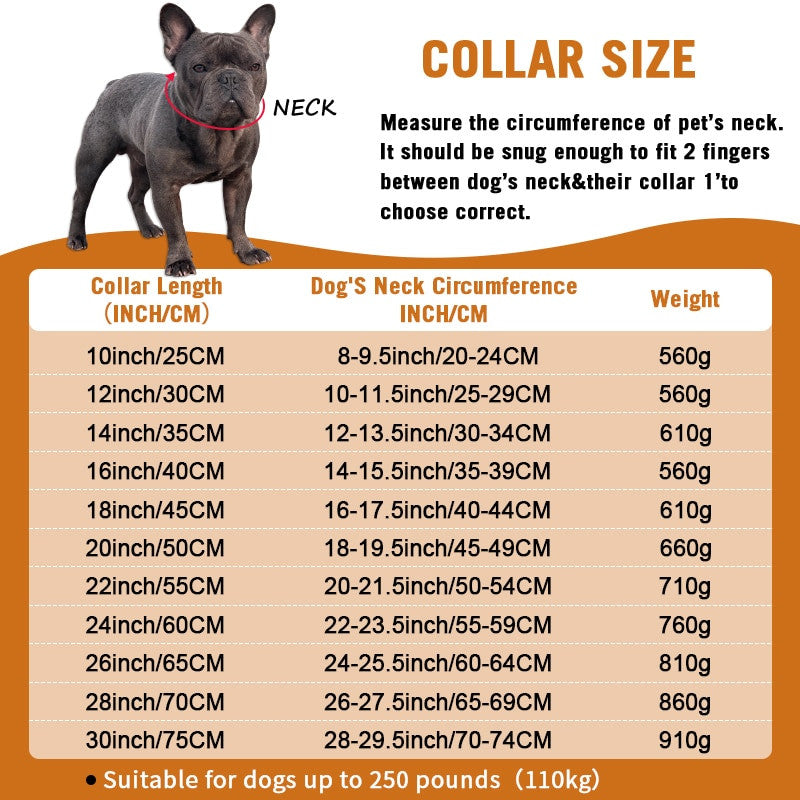Cuban Chain Dogs Collar para perros y gatos