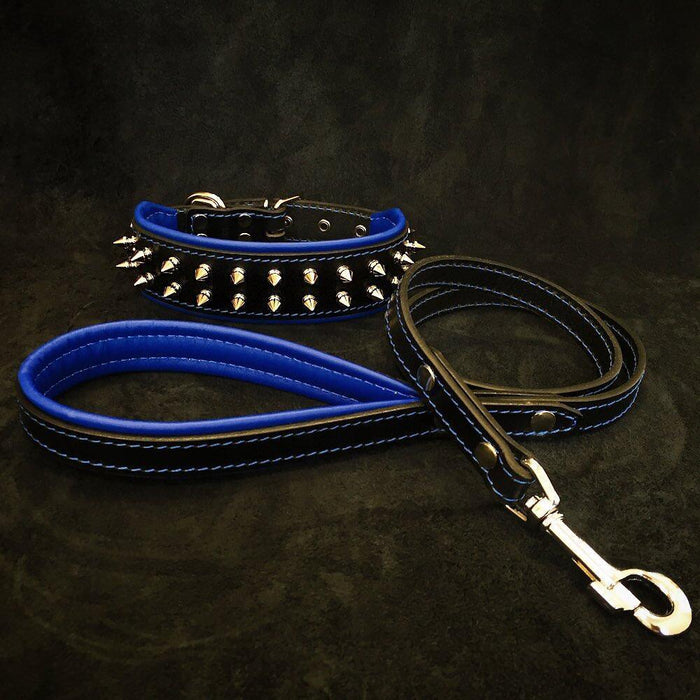 Set Frenchie de collar y correa rojo para perros