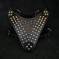 The "Gladiator" harness para perros - imagen 1