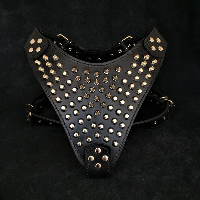 Le harnais "Gladiator"