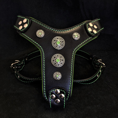 Arnés Bijou negro y verde para perros