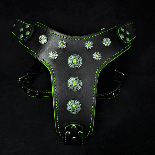Arnés Bijou negro y verde para perros grandes