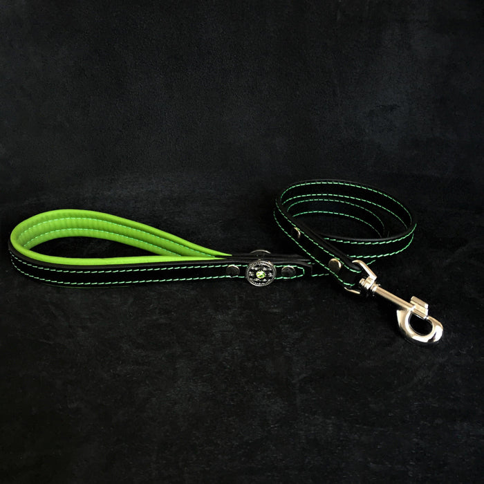Laisse Bijou en cuir vert pour chien