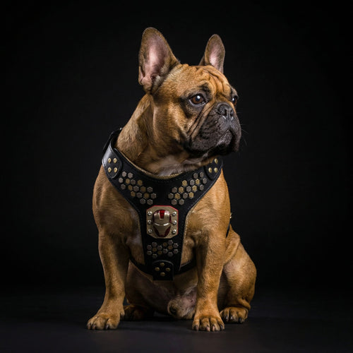 Irondog Harness Medium size for dogs and cats - image 2