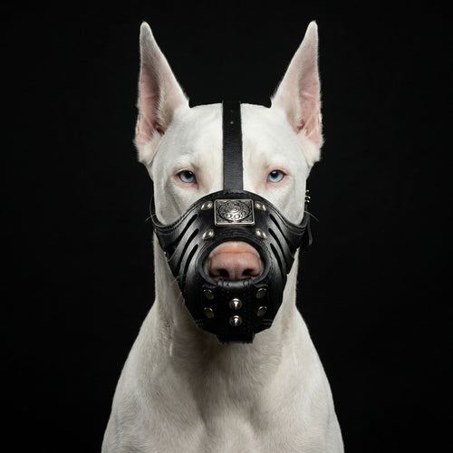 Bozal de entrenamiento adjustable soft in leather negro for dogs - image 2