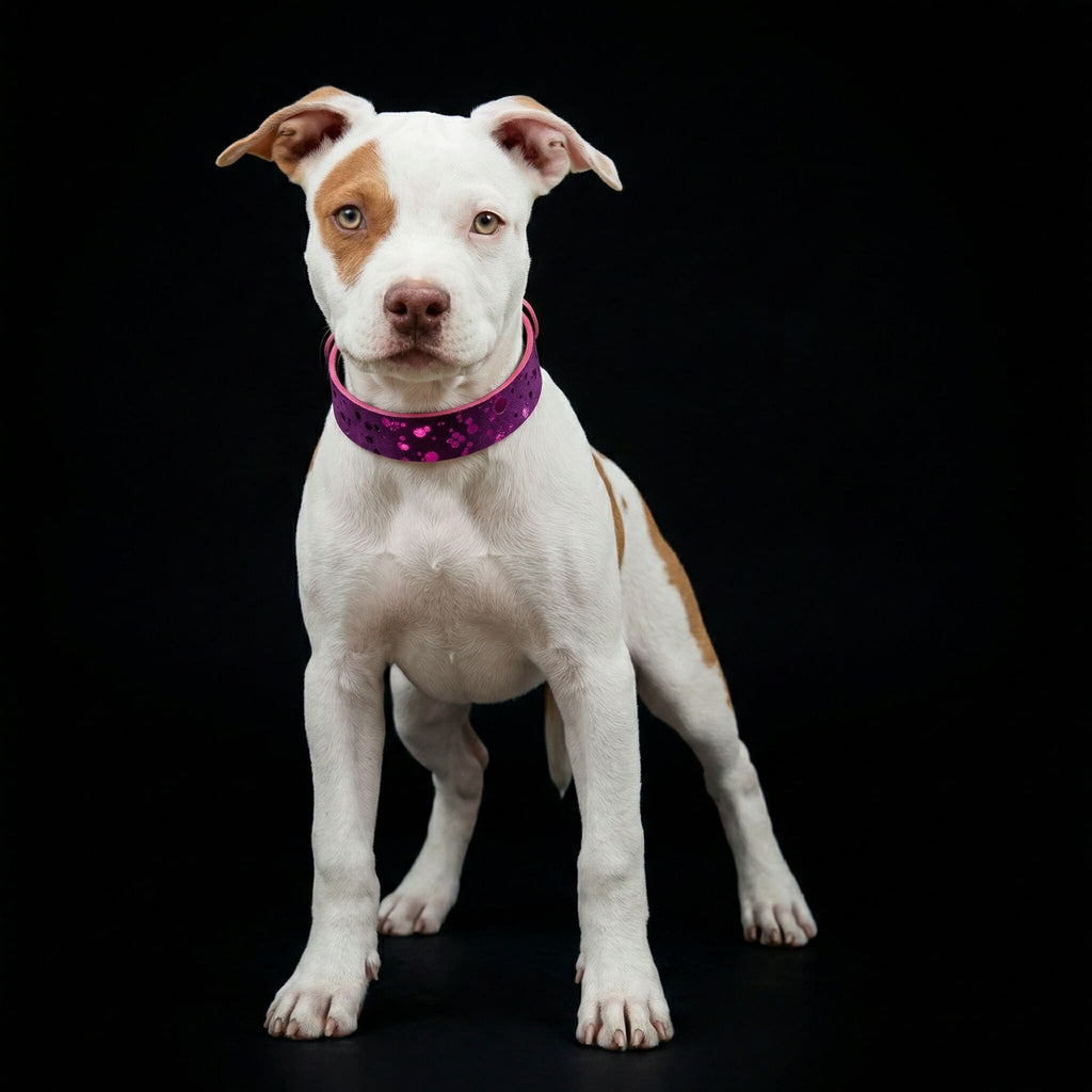 The "Viola Drops" puppy collar per cani e gatti - immagine 2