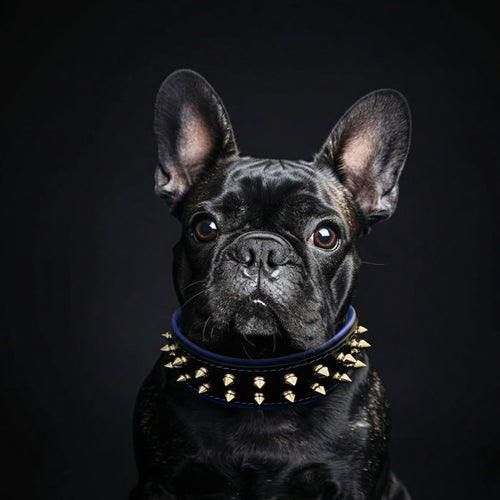Bestia Frenchie Hundehalsband