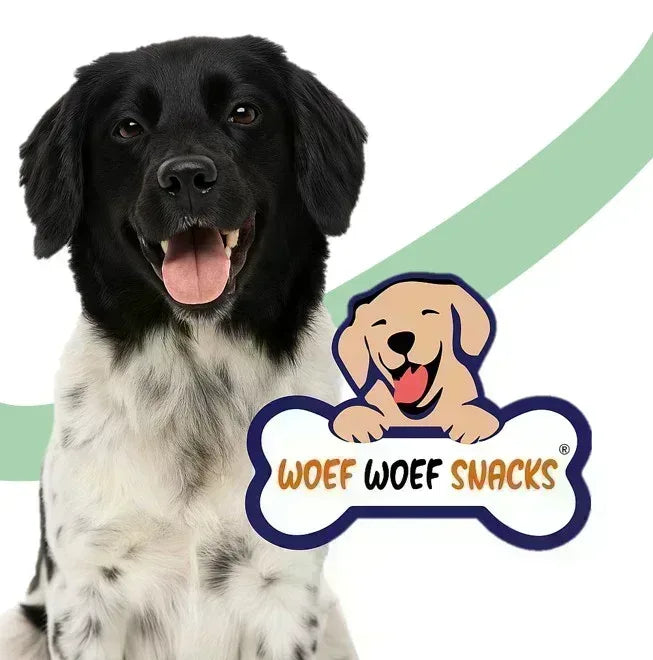 Snackbox natural per Cani M