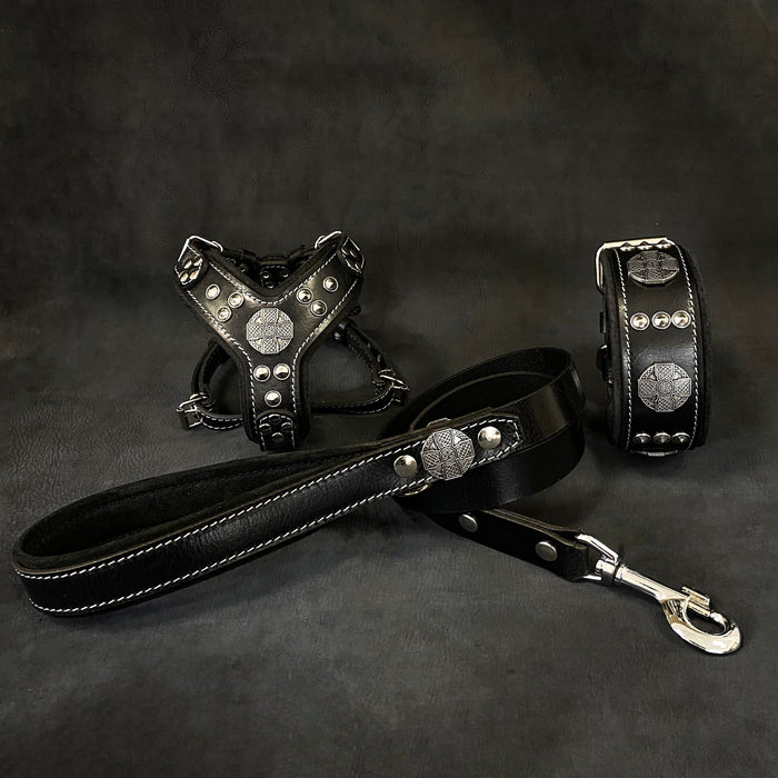 Set Maximus de arnés, collar y correa negro y plateado para perros, talla S-M