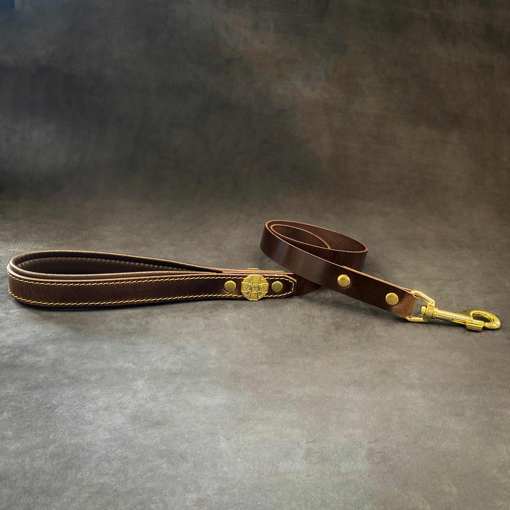 Maximus Gold Leash 1 inch wide fuer Hunde und Katzen - Bild 1