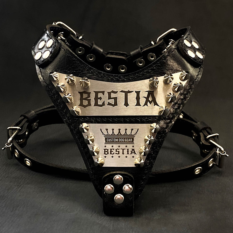 Arnés Metal personalizado para perros pequeños y medianos