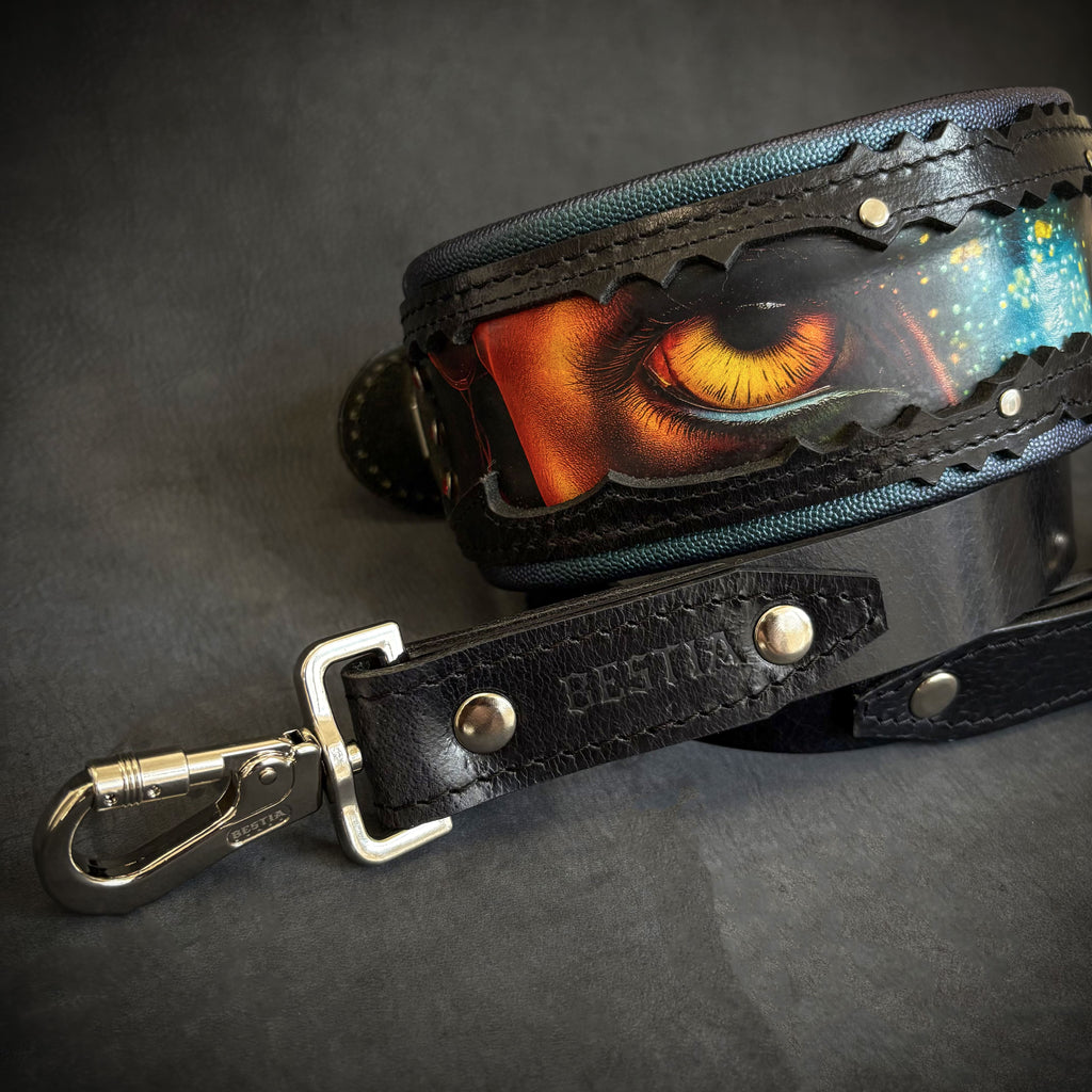 The Fire & Ash Limited Collar fuer Hunde - Bild 3