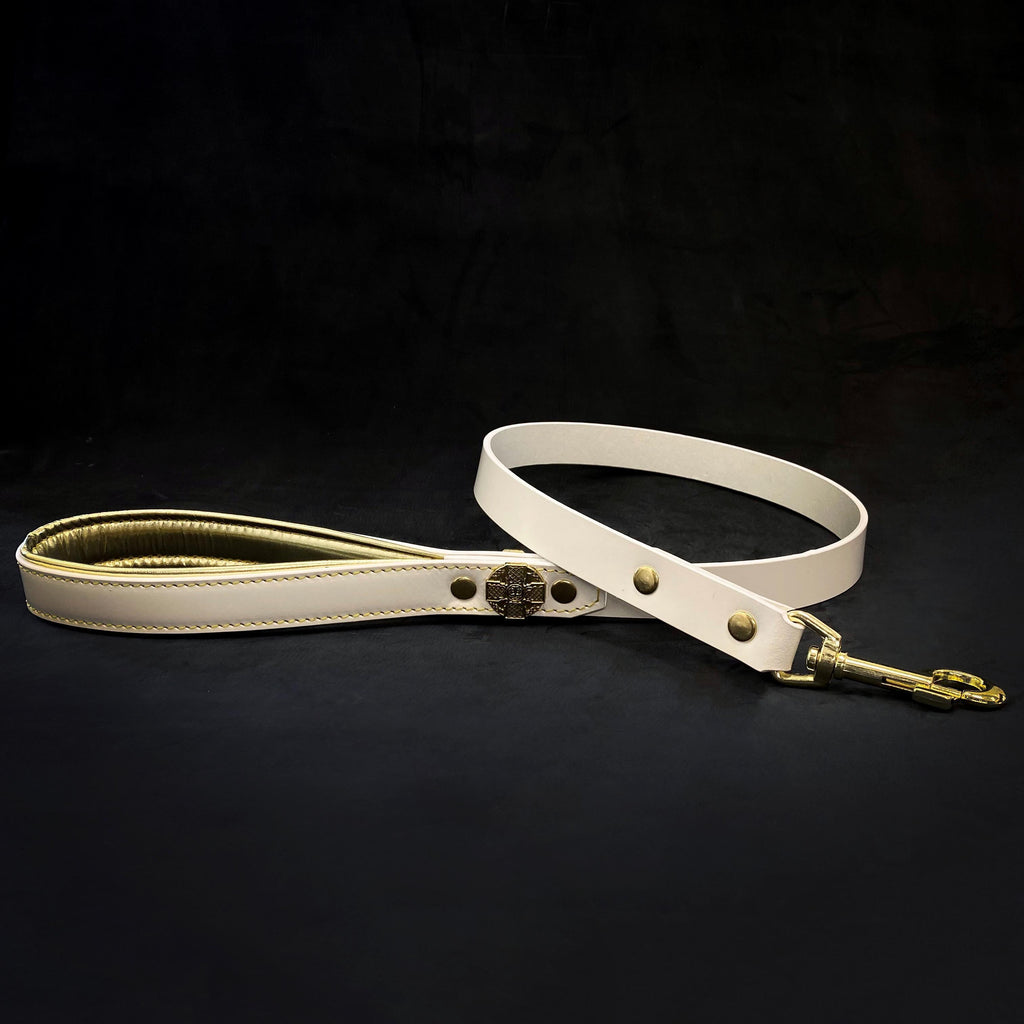 Maximus Gold Leash 1 inch wide fuer Hunde und Katzen - Bild 2