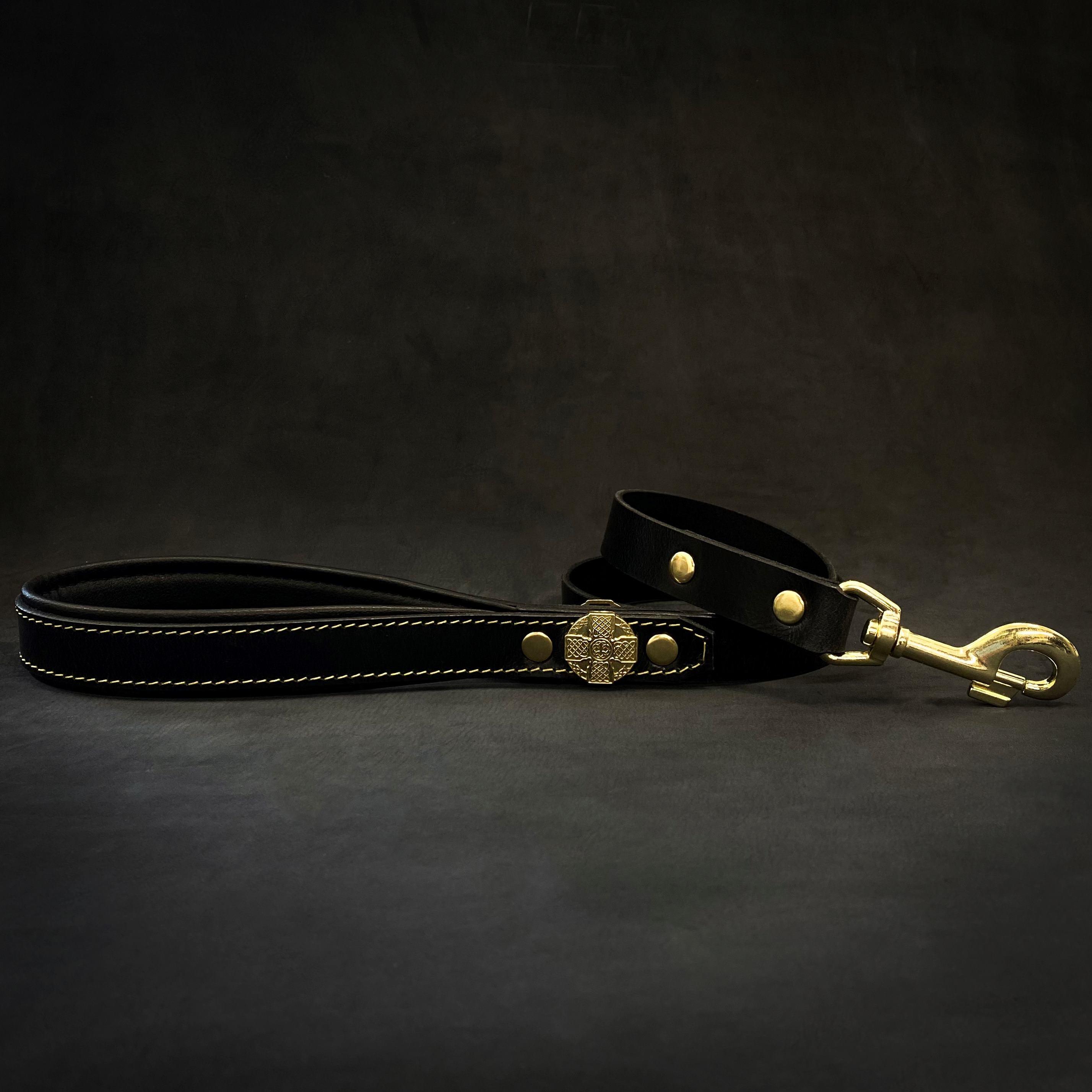 Maximus Gold Leash 1 inch wide pour chiens et chats - image 3