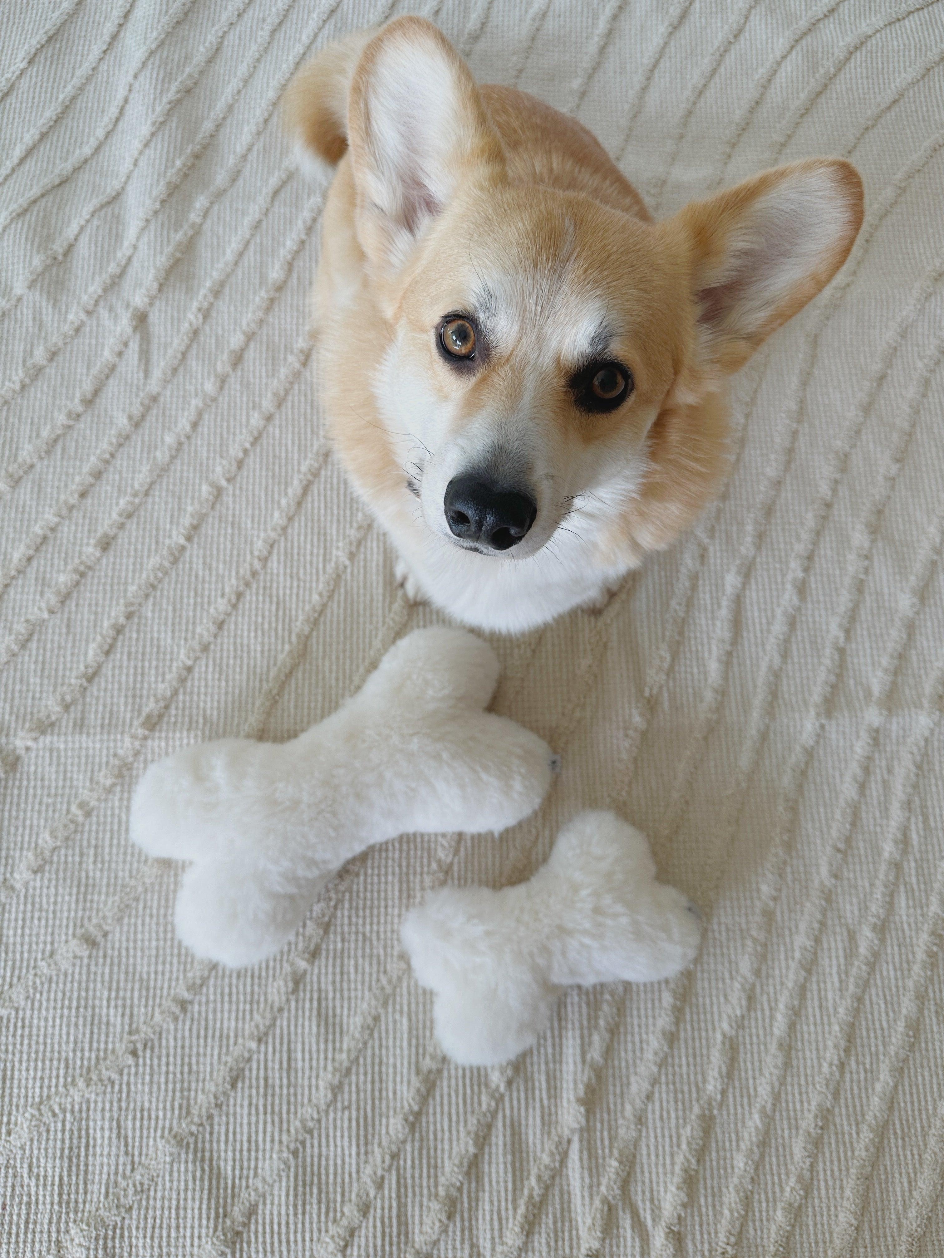Natural piel di oveja cane Toy - Bone - bianco