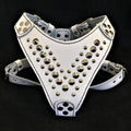 ''Star'' Harness Small to Medium size para perros - imagen 1
