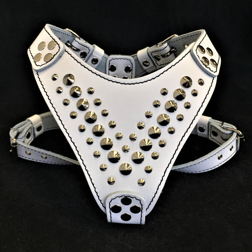 ''Star'' Harness Small to Medium size fuer Hunde - Bild 1