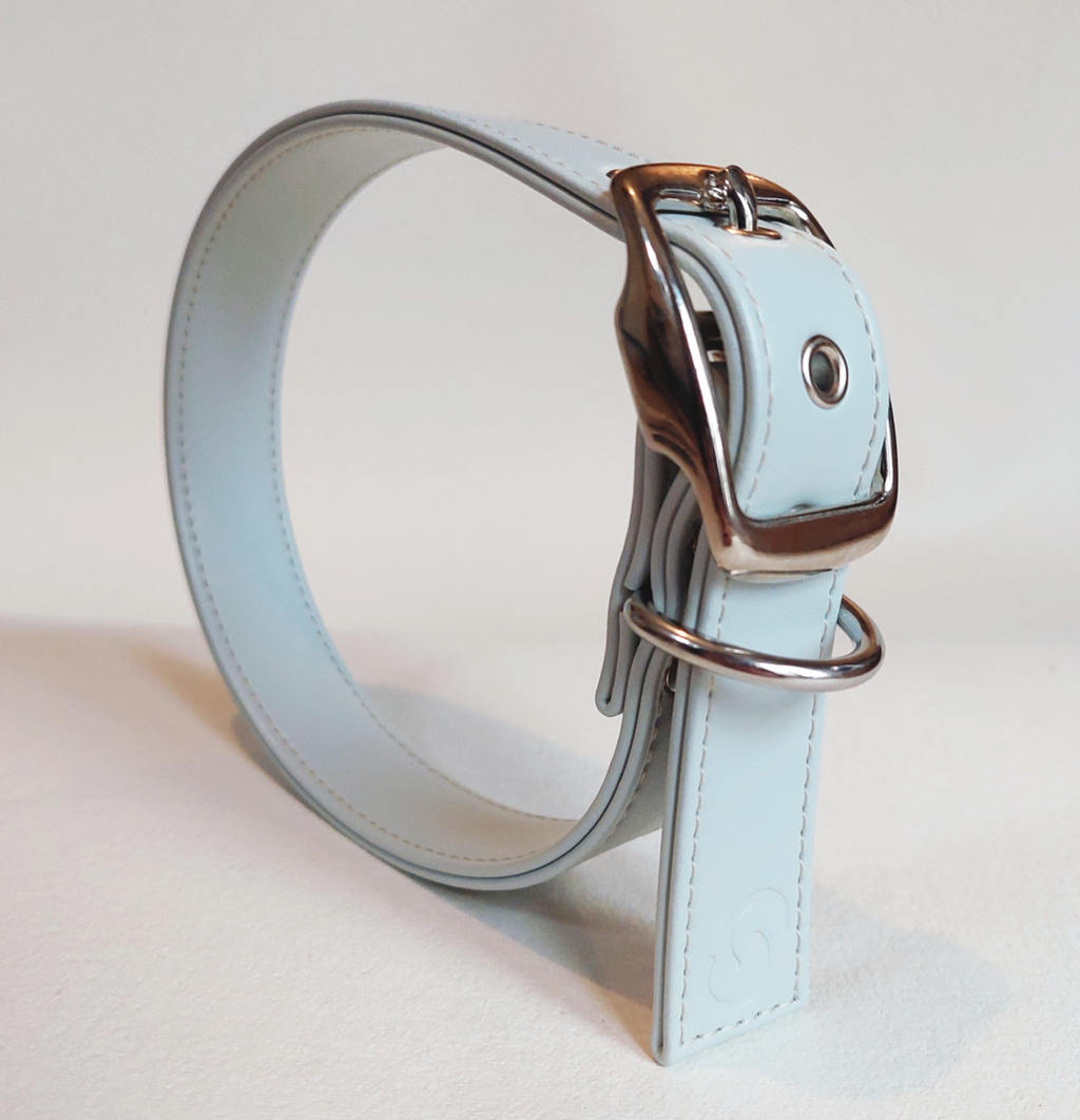 Ice Blue Skylos Set para perros - imagen 2