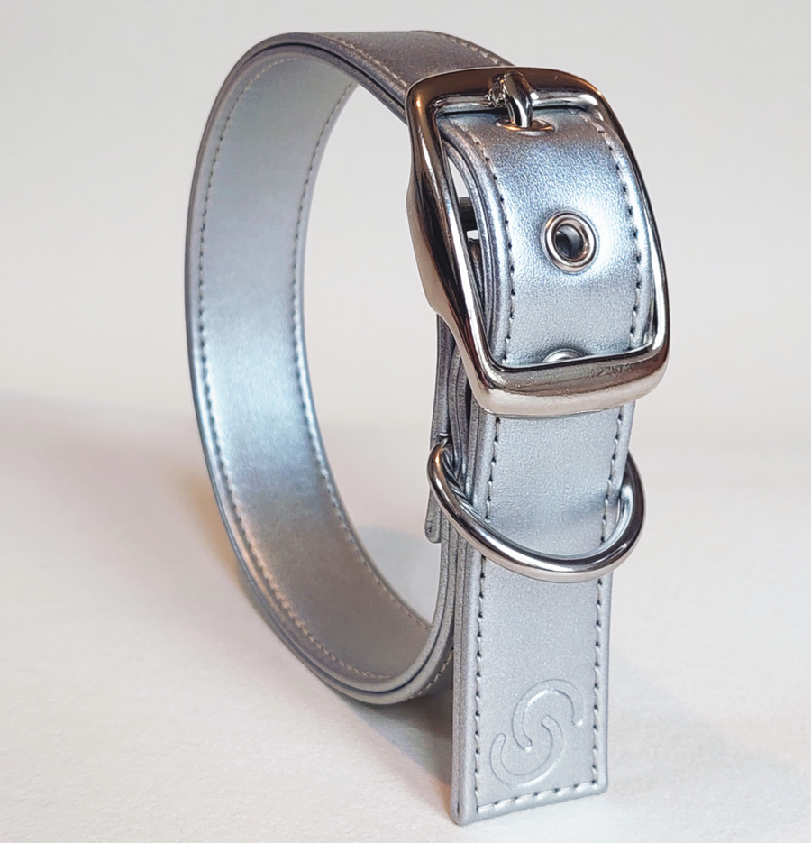 Collar de cuero vegano de manzana para perros