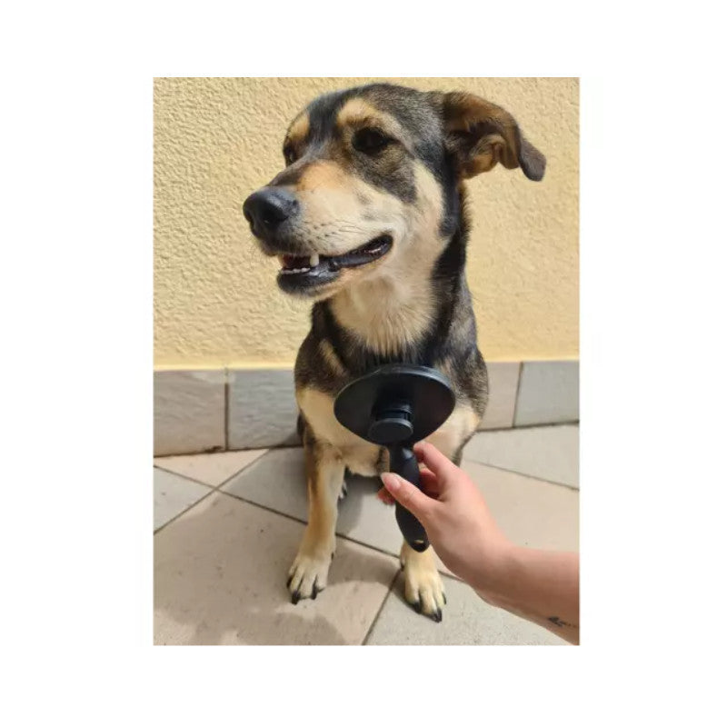 Öntisztító szőreltávolító  kefe háziállatoknak-1