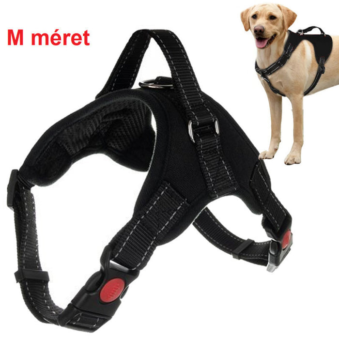 Arnés transpirable para perros